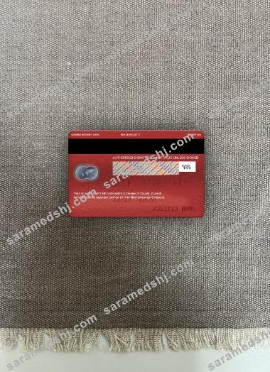 Netherlands Citibank mastercard photolook back